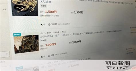 野外 放尿 動画|「ヤフオク」、野外採集の両生類を出品禁止へ 「環境への影響 .